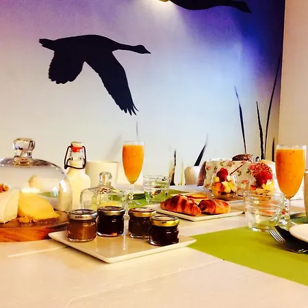 Lisdodde 3* Brugge
