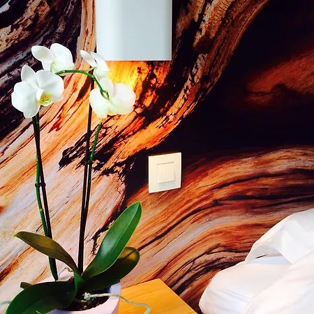Bed & Breakfast Lisdodde